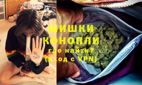 винт Алзамай