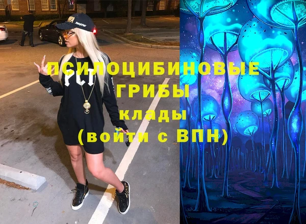 винт Алзамай